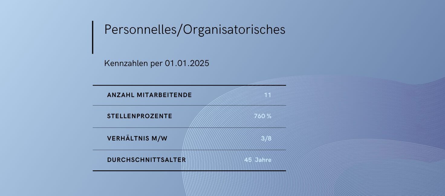 Kennzahlen zur Organisationsstruktur und Mitarbeitenden 2025 Professioneller Bericht zu Kennzahlen, Mitarbeiterdaten und Organisationsstruktur im HR-Bereich.
